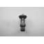 Evelore Outdoor Armed Sconce