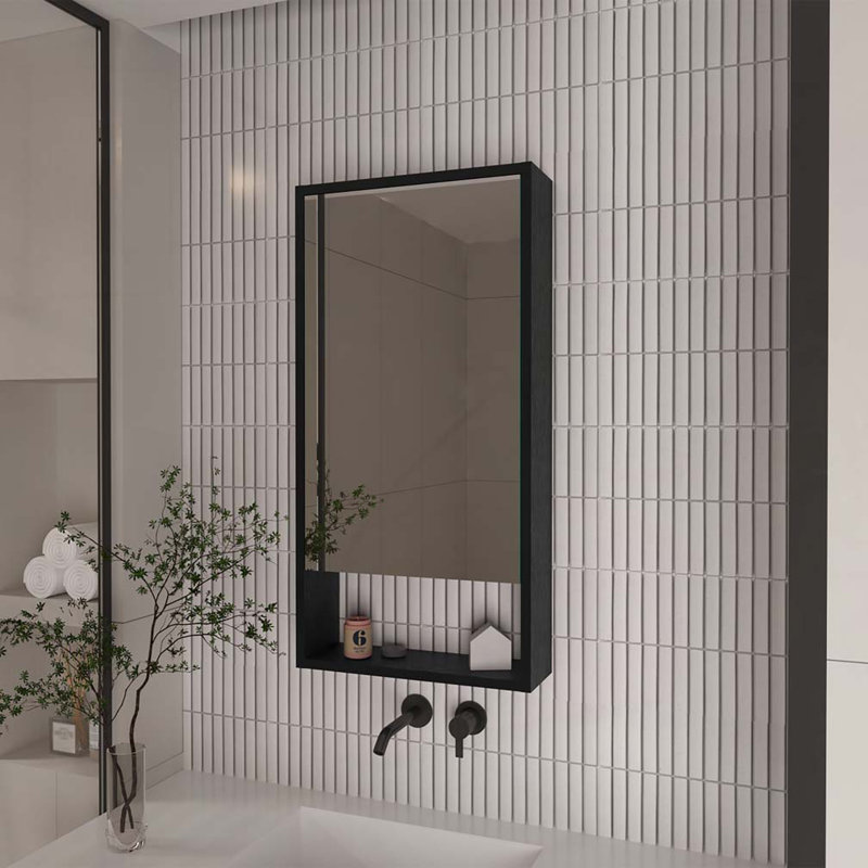 Wall Rectangle Medicine Cabinet with Mirror, Black