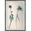 Tall Stems - Single Picture Frame Painting-698969441