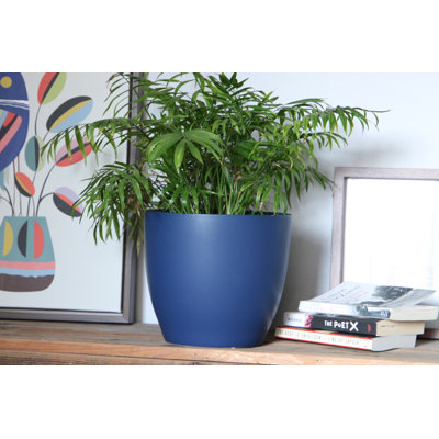 Peace Lily Cache Pot By 