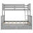 Bunk Bed with Ladder and Drawers-1828535388
