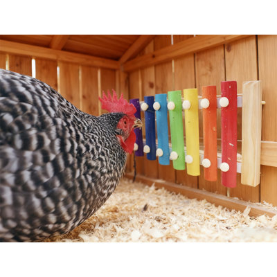 Chicken Xylophone Toy For Hens Wood Xylophone Toy With 8 Metal Keys Chicken Coop Pecking Toy Chicken Coop Pecking Toy