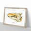 Velodona Octopus by Carl Chun - Picture Frame Painting Print-55605050-55605053
