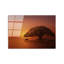 Boze Wall Decor