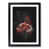 Black Framed selected