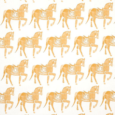 Tissu Schumacher x Molly Mahon Marwari