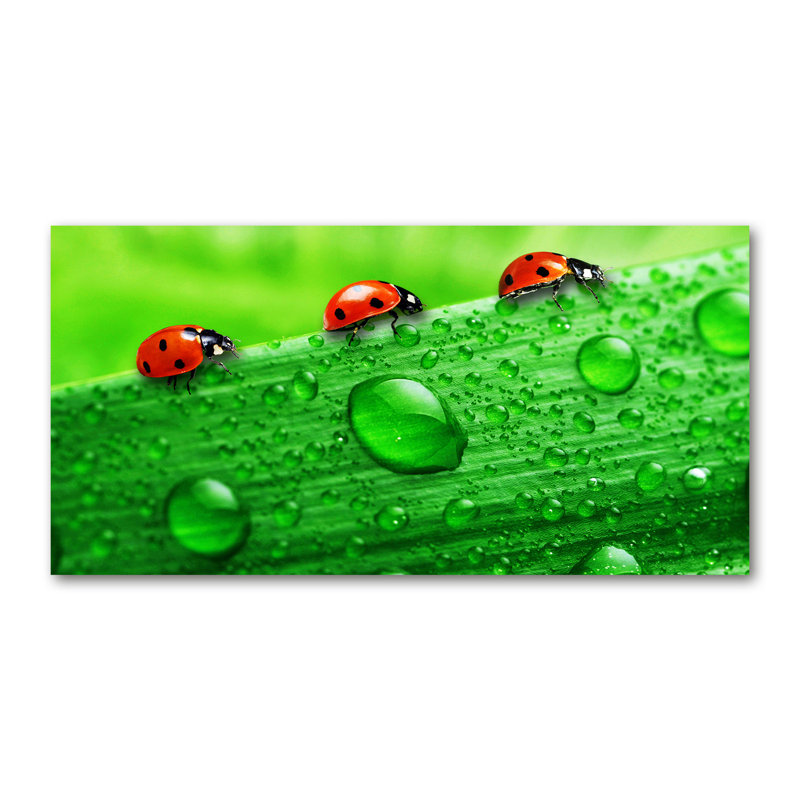 50cm W x 100cm L Glass Peel and Stick Panel