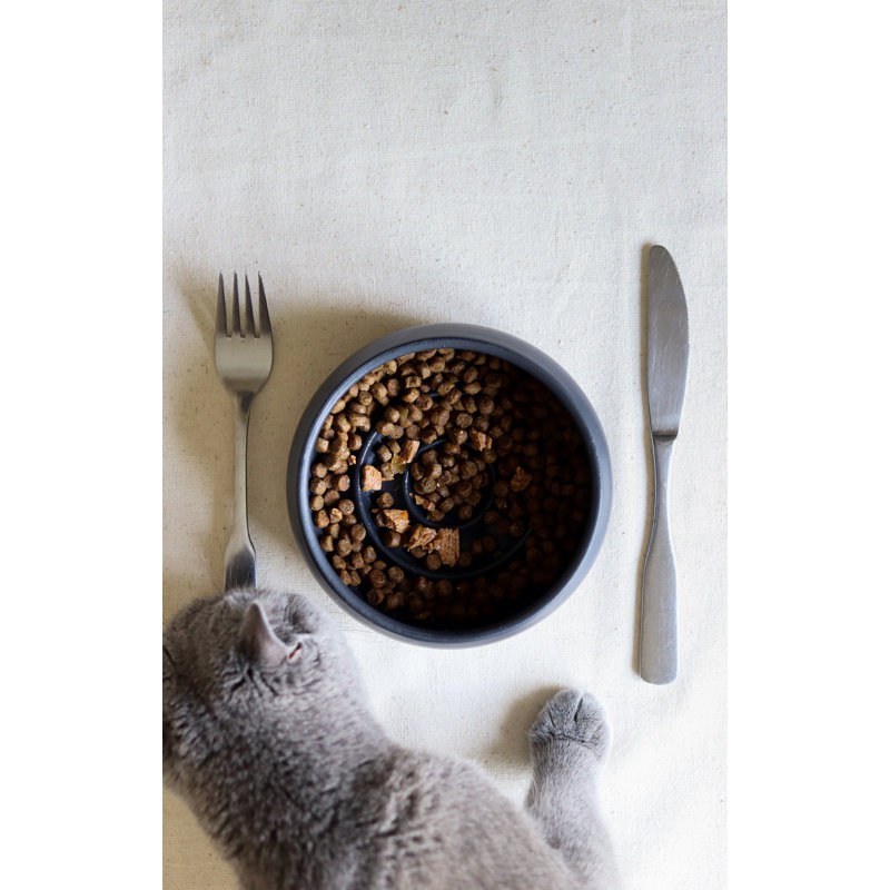 Bol pour nourriture pour animaux