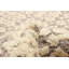 Tapis crème Tangier 5 pi 1 po x 8 pi 1 po