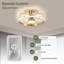 Ventilateur de plafond 27,5 po avec lumières DEL Gerarlina