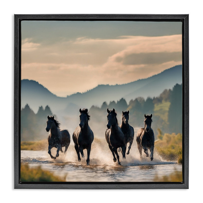 «Canyon Stallions Trotting» par Noah Bay, Cadre flottant noir de jais, H 25 po x l 25 po