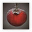 « red pomme », reproduction de photo sur toile-25674313