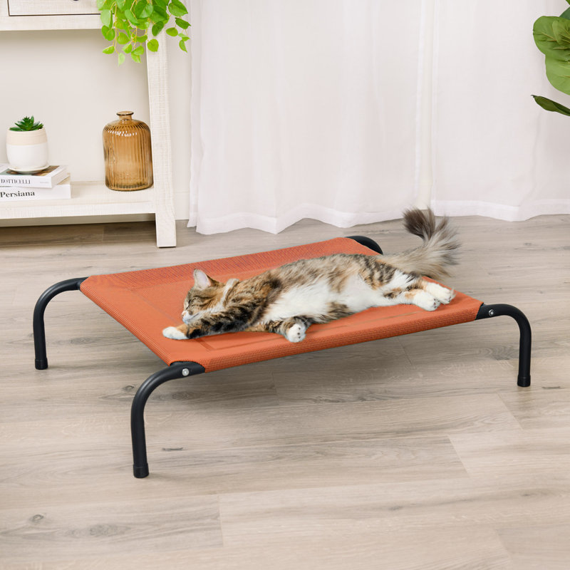Elevated Cot Pet Bed, 8" H x 25.5" W x 36" D, Red