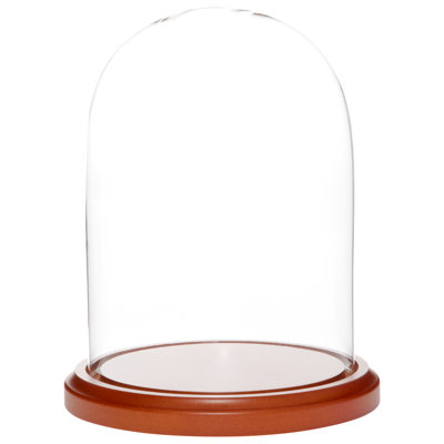Cloche à dôme en verre 5,5 "x 8" Vucciria