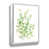 White Framed
