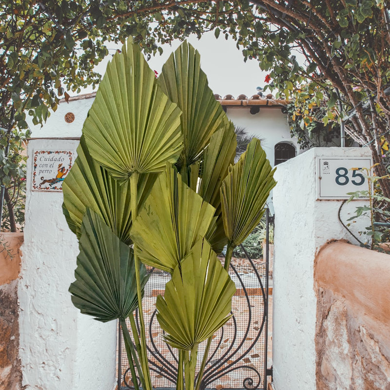 Fredela Arrangement, Lime Green
