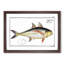 Rottler's Mackerel Fish by M.E. Bloch - Picture Frame Graphic Art Print-55610656-55610657