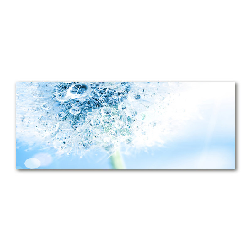 Dandelion - Wrapped Canvas Print