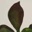Golden Era Painting by Molly Franken-1986940667-1986940669-1986969695