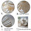 Photographie de coquillage blanc minimaliste II-74640717-74640753