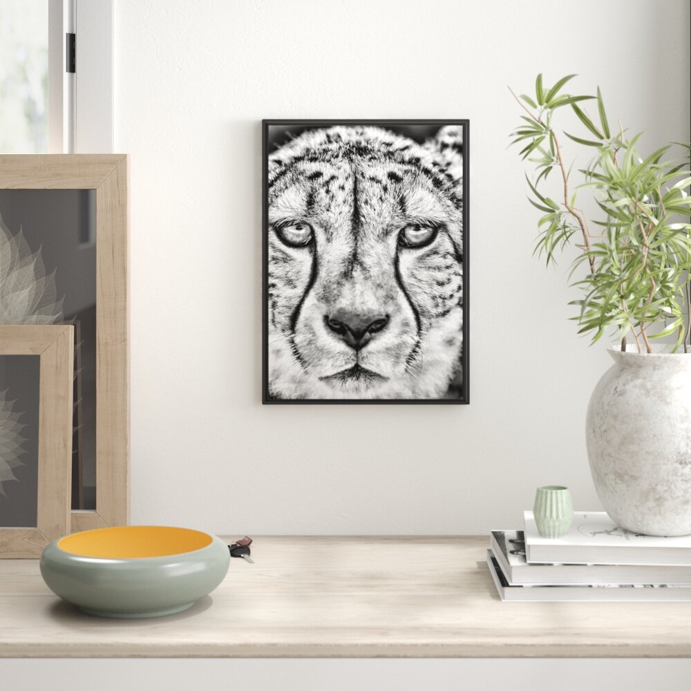 Gerahmtes Wandbild ruhender Gepard