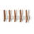 Noyer sélectionné