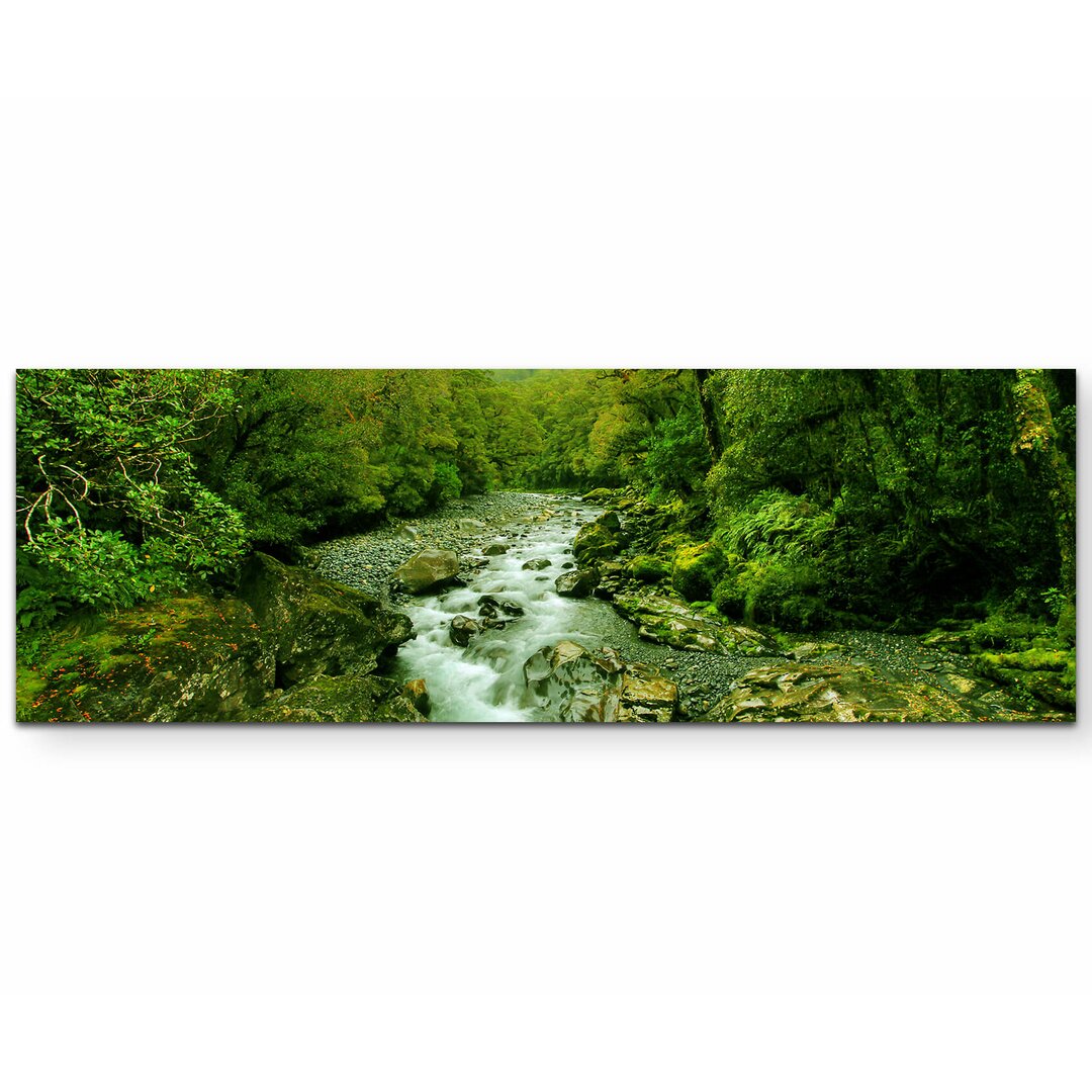 Leinwandbild Ein kleiner Fluss im Regenwald