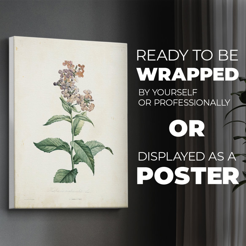 Traditional Botanical II - Impression sur toile seulement - NON-CADRE, H 27 po x l 18 po