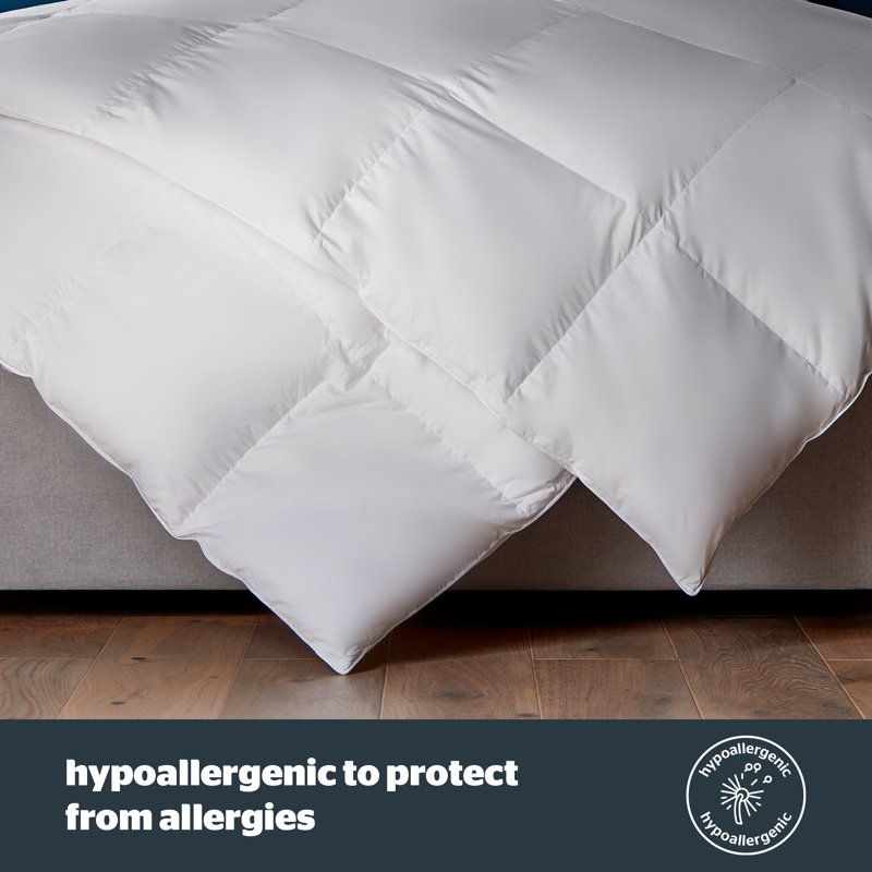 Silentnight Feather and Down Anti-Allergy 10.5 Tog Duvet, Super King