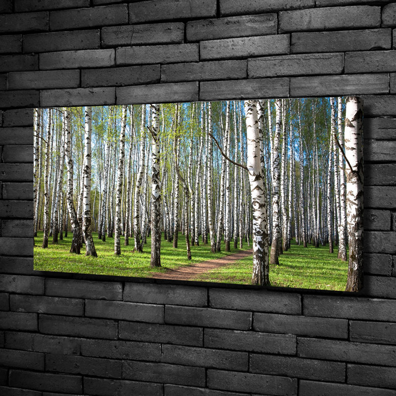 Birch Forest - No Frame Print on Glass, 50cm H x 100cm W x 2cm D, Canvas