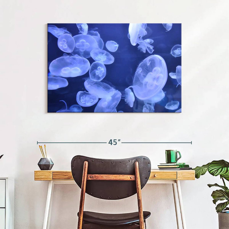 Sea Jellies, 26" H x 39" W