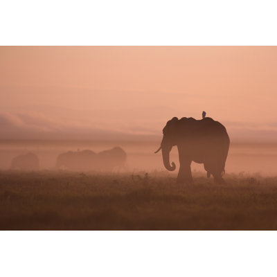 Elephants At Dawn - Wrapped Canvas Print