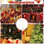 PVC No Holiday Shaped Ornament-120025880-120025884