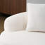 Crème de couleur incurvée 2 places avec accoudoir rond, idéal pour le bureau et les petites chambres à coucher, sans assemblage, mousse à haute densité, siège à ressorts en mousse, salon confortable, assemblage requis,-1576951920