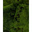 Overdyed One-of-a-Kind 9' 4" X 12' 2" Hand Knotted Area Rug