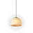 Veiga Pendant-899804474