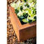 Pot Planter
