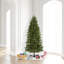 Teton Lighted Artificial Fir Christmas Tree-670873528
