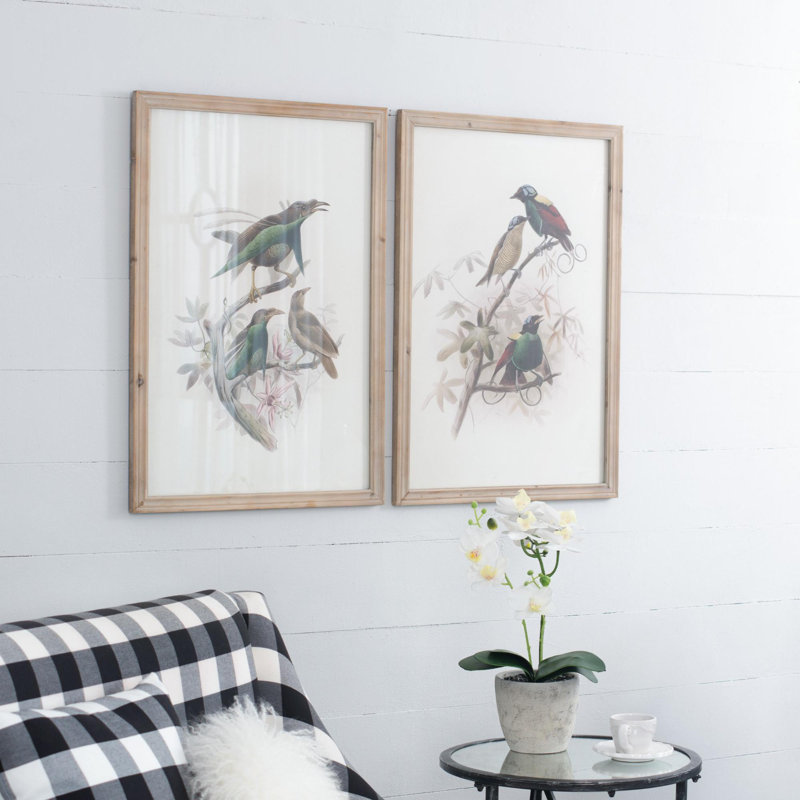 Oiseau, reproduction encadrée
