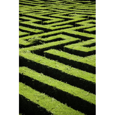 " Hedge Maze Garden "
