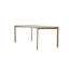 Shlok Metal Base Dining Table