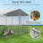 Metal Yard Kennel With Door-100003861