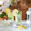 LAV - Liberty Highball Glasses