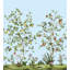 Turid Floral Wallpaper-1486359578