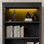 Suite bibliothèque avec bande lumineuse, ensemble de bibliothèque décorative à 5 niveaux avec tablettes réglables, ensemble de tablettes de rangement autoportantes