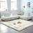 3 - Piece Living Room Set