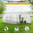 20 x 10 x 7 ft Walk-in Tunnel Greenhouse, 3 Top Beams, 2 Zippered Doors & 12 Roll-up Windows, Portable Plant Hot House with Galvanized Steel Hoops, Diagonal Poles, White-85882424