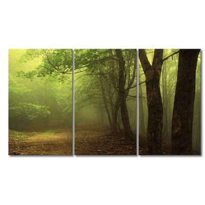 3 Piece Wrapped Canvas Print