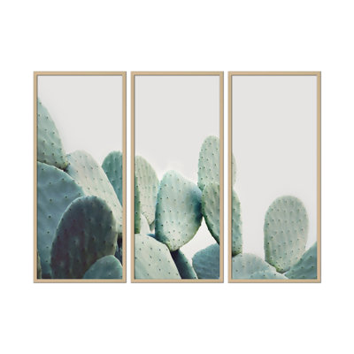 Nature Inspired Pastel Cactus by Kathrin Pienaar - 3 Piece Picture Frame Photograph Set on Paper