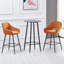 Sunni 67cm Velvet Upholstered Arm Bar Stool with Footrest-1674233847